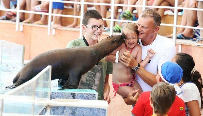 ШОУ ДЕЛЬФИНОВ ИЗ СИДЕ - ЭКСКУРСИИ В СИДЕ