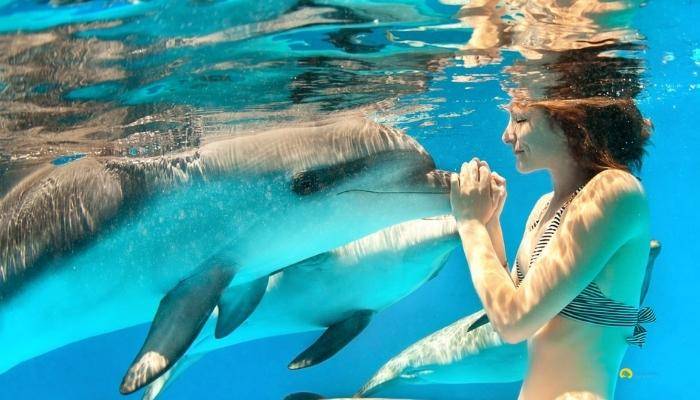 ПЛАВАНИЕ С ДЕЛЬФИНАМИ В СИДЕ - ЭКСКУРСИИ В СИДЕ