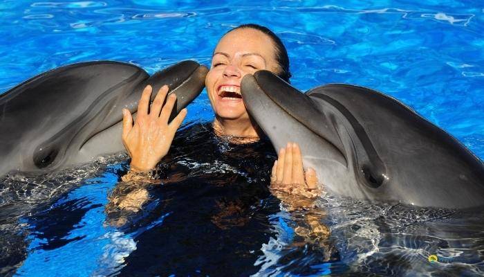 ПЛАВАНИЕ С ДЕЛЬФИНАМИ В СИДЕ - ЭКСКУРСИИ В СИДЕ