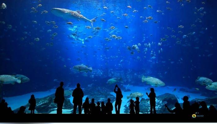 AQUARIUM  ANTALYA - EXCURSIONS  ANTALYA