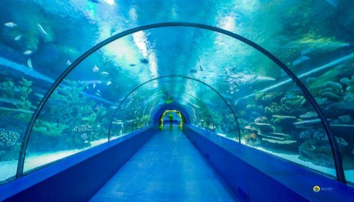 VISITE AQUARIUM  BELEK - EXCURSIONS  BELEK