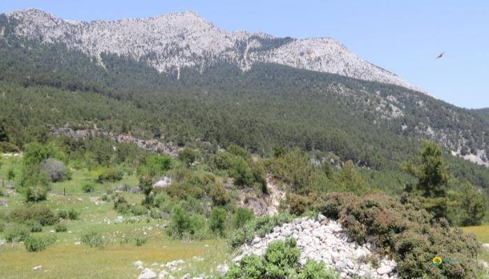 JEEP SAFARI I KEMER - UTFLUKTER I KEMER