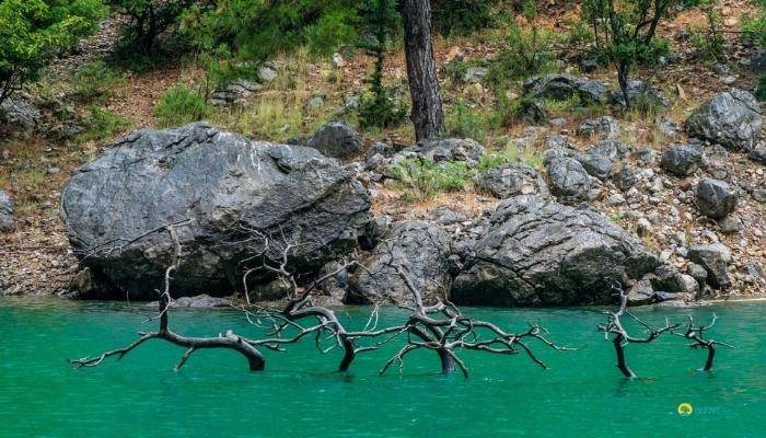 جولة بالقارب في الوادي الأخضر من سيدا - رحلات  في سيدا