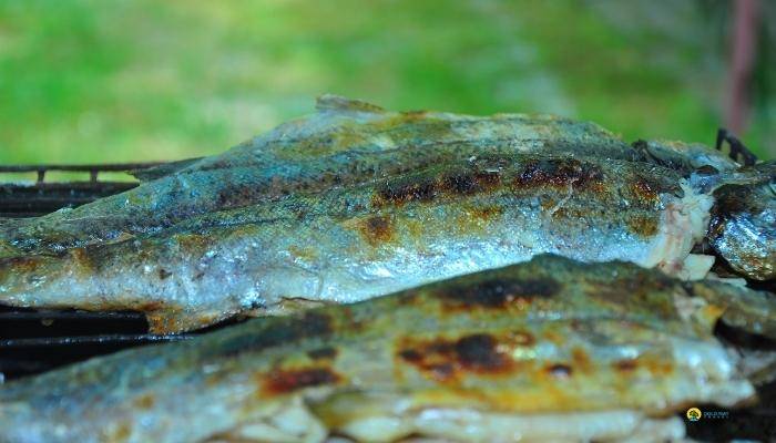 KARACAOREN PICNIC AND FISHING - EXCURSIONS IN KEMER