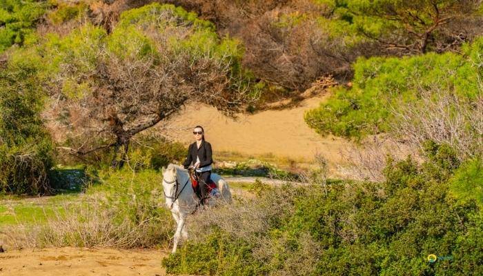 KEMER HORSE RIDING - EXCURSIONS IN KEMER