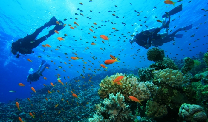 MARMARS DALI TURU - MARMARS GEZLECEK YERLER VE TURLAR