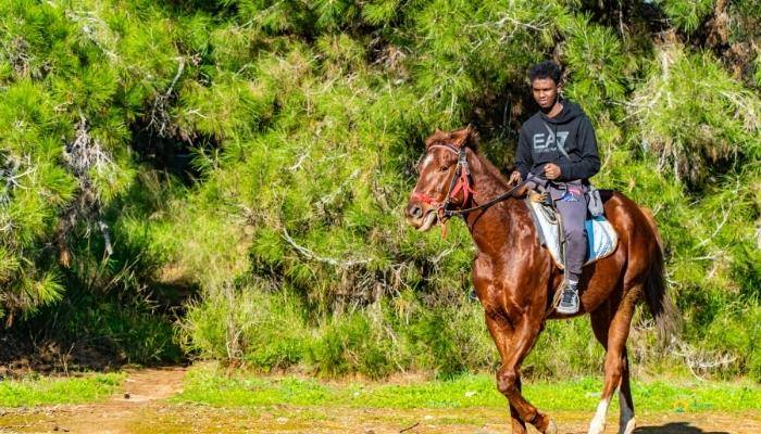 PAARDRIJDEN IN KEMER - EXCURSIES IN KEMER