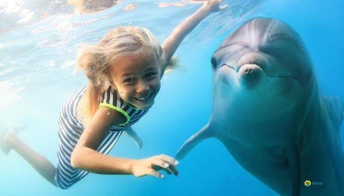 ПЛАВАНИЕ С ДЕЛЬФИНАМИ В АНТАЛИИ - ЭКСКУРСИИ В АНТАЛИИ