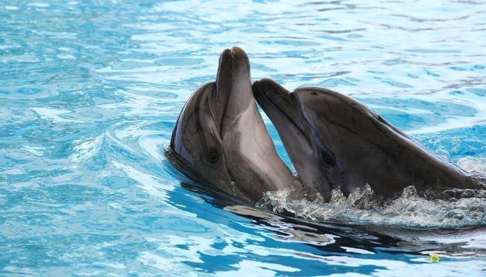 YUNUSLARLA YZME - KEMER GEZLECEK YERLER